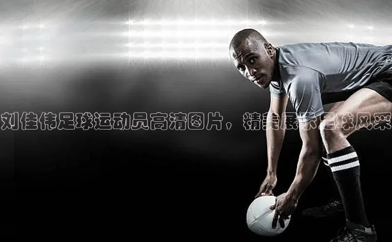 长征中心官网登录入口百度网盘刘佳伟足球运动员高清图片，精美展示足球风采