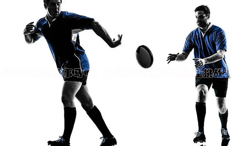 长征中心官网登录入口猫眼凯乐石运动赛事马甲：引领时尚与健康的双重挑战者