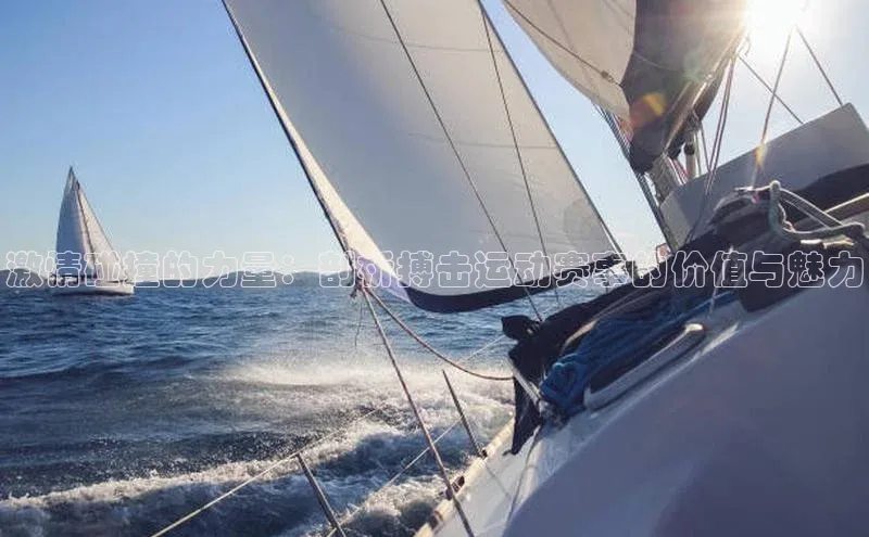 激情碰撞的力量：剖析搏击运动赛事的价值与魅力