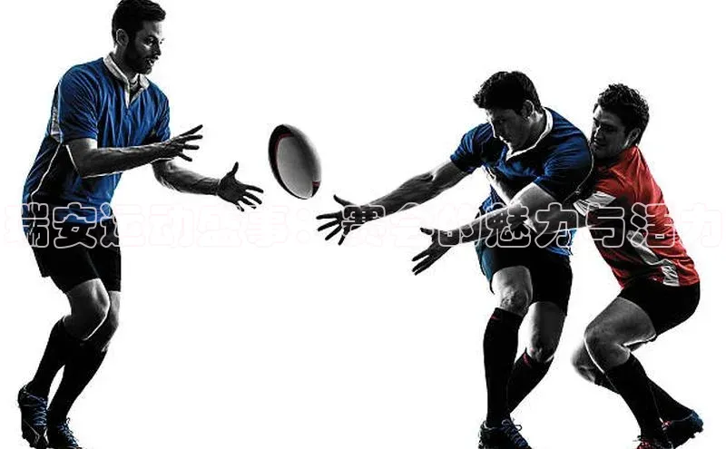 瑞安运动盛事：赛会的魅力与活力