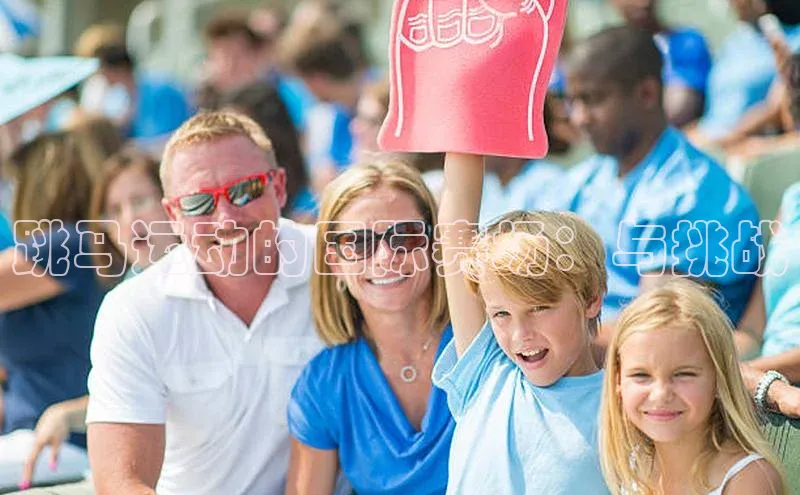 跳马运动的国际赛场：与挑战