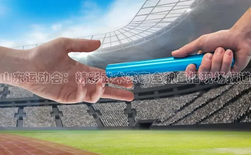 山东运动会：精彩武术赛事全貌直播现场报道