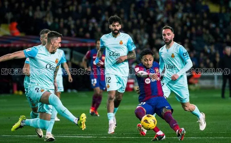 趣味运动赛事的卓越领导力与组织策略：如何最大化参与者体验和团队协作