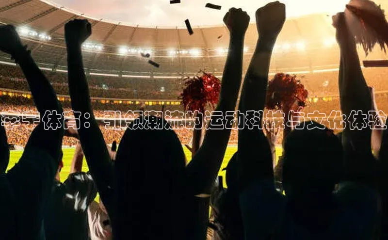 李宁体育：引领潮流的运动科技与文化体验