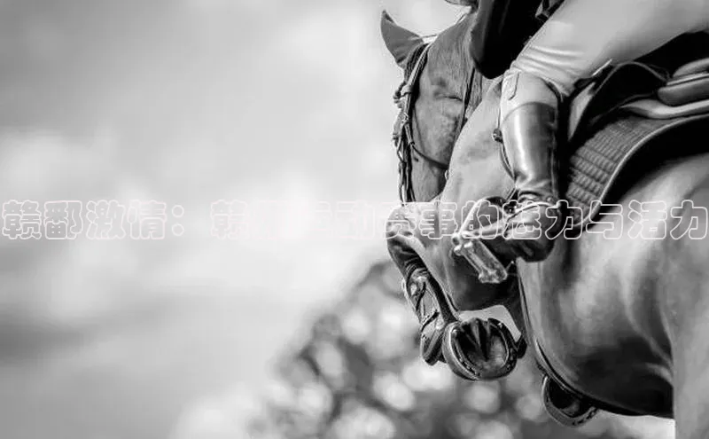 赣鄱激情：赣州运动赛事的魅力与活力