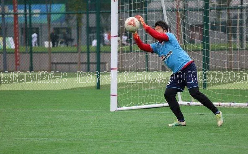 奔跑的激情：临沂李宁运动赛事中的独特魅力