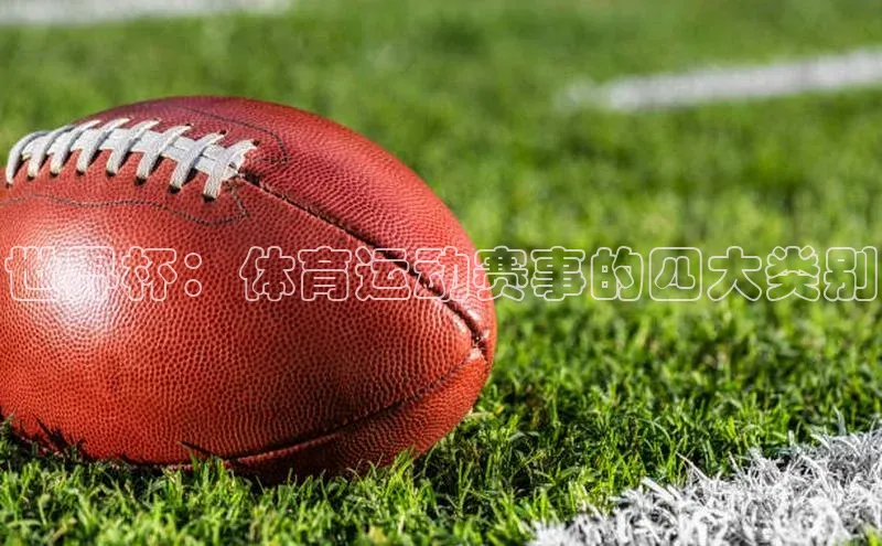世界杯：体育运动赛事的四大类别