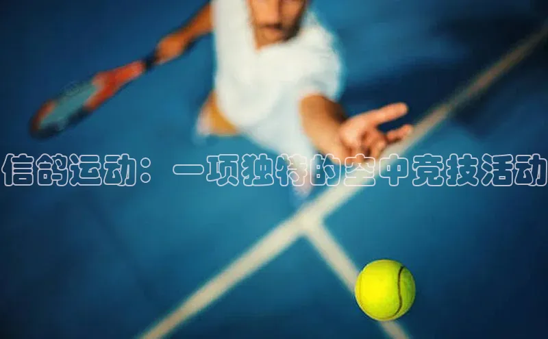 信鸽运动：一项独特的空中竞技活动