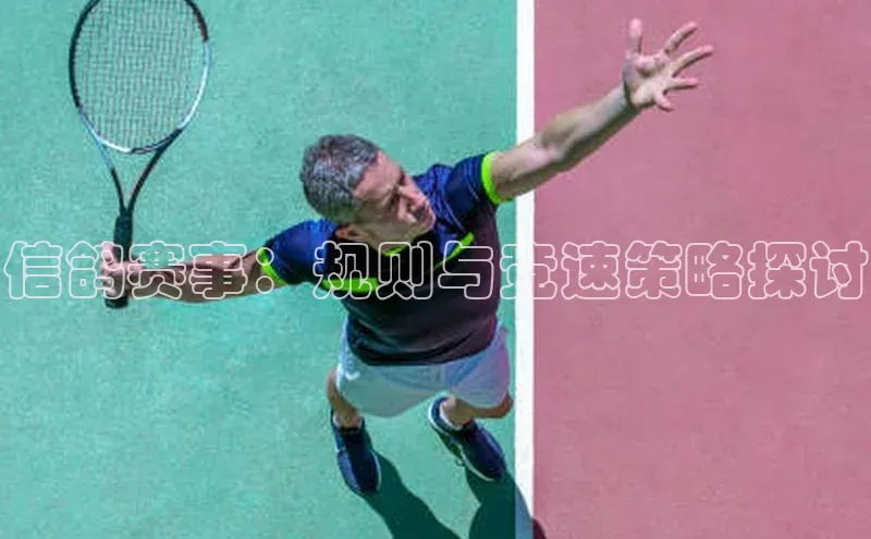 信鸽赛事：规则与竞速策略探讨